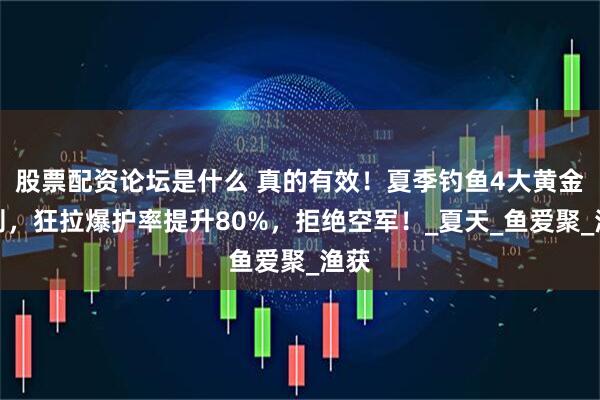 股票配资论坛是什么 真的有效！夏季钓鱼4大黄金法则，狂拉爆护率提升80%，拒绝空军！_夏天_鱼爱聚_渔获